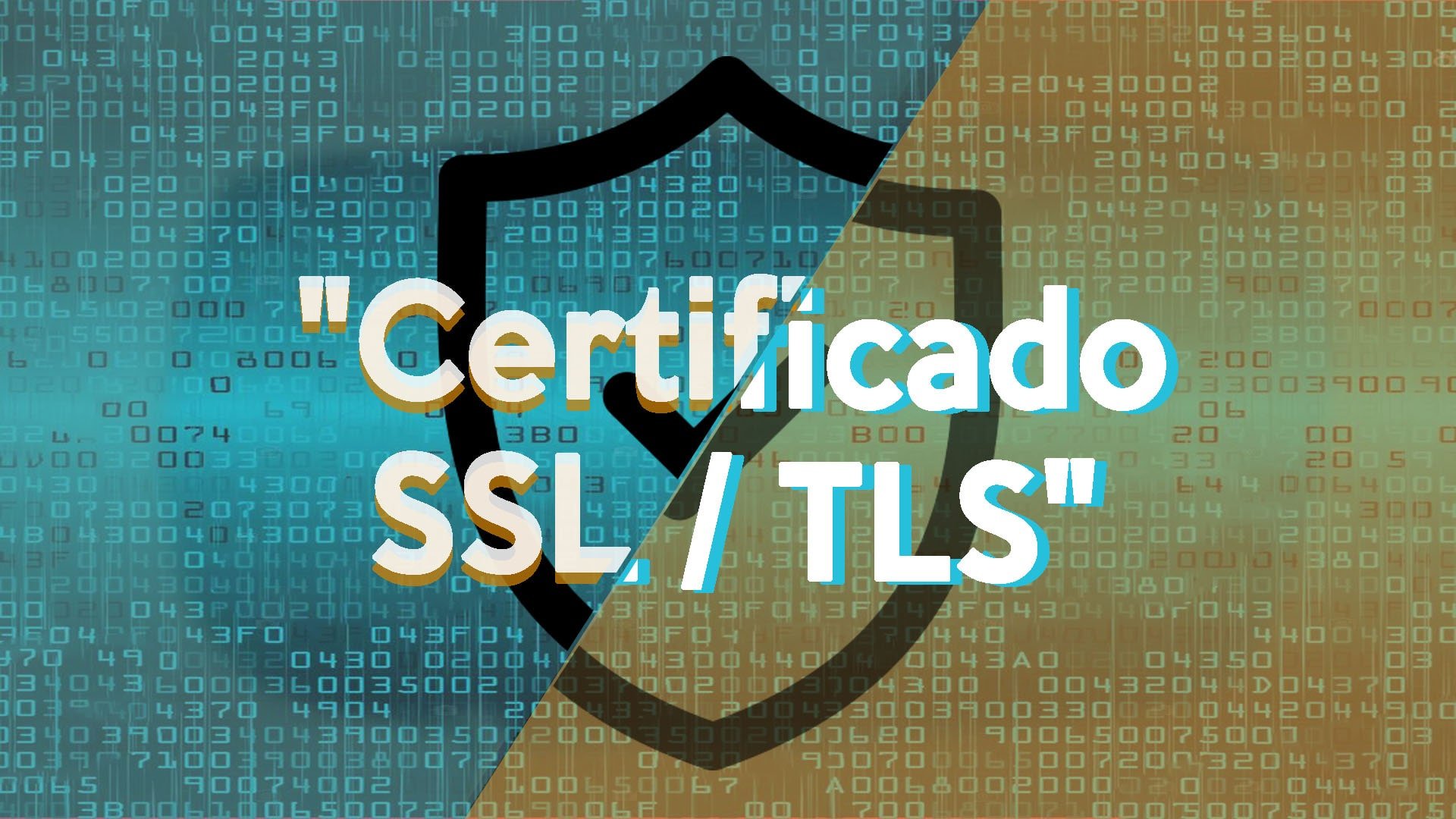 SSL Vs TLS: Conozca Sus Protocolos, ¿cual Es La Diferencia? | Blog ...